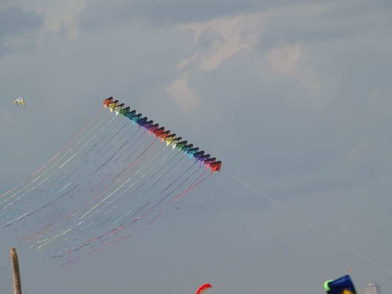 TAGLIATA2008-0442.jpg - OLYMPUS DIGITAL CAMERA         