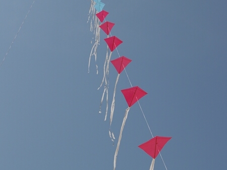 TAGLIATA2008-0443.jpg - OLYMPUS DIGITAL CAMERA         