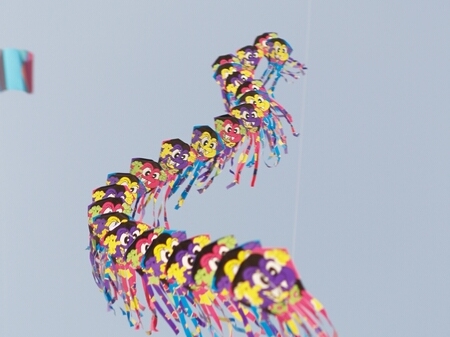 TAGLIATA2008-0444.jpg - OLYMPUS DIGITAL CAMERA         