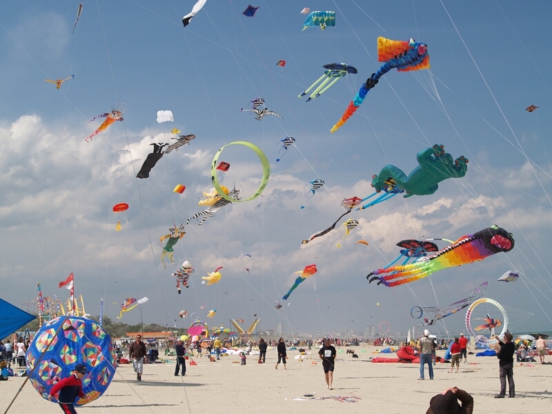 TAGLIATA2008-STACK-0460.jpg - OLYMPUS DIGITAL CAMERA         