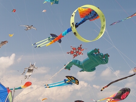 TAGLIATA2008-STACK-0462.jpg - OLYMPUS DIGITAL CAMERA         