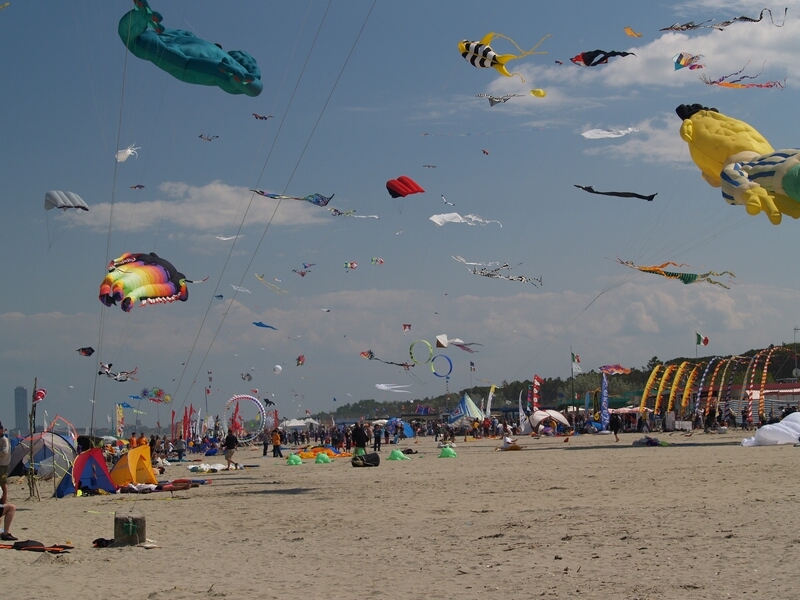 TAGLIATA2008-STACK-0463.jpg - OLYMPUS DIGITAL CAMERA         