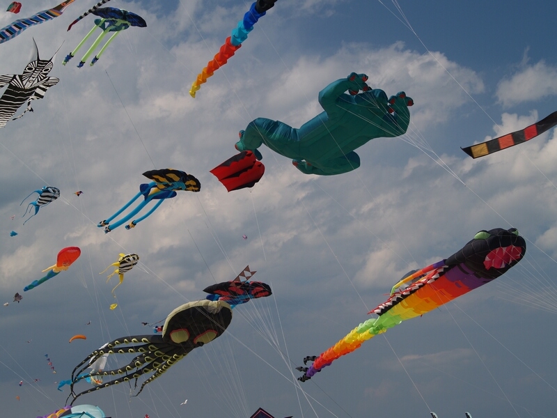 TAGLIATA2008-STACK-0464.jpg - OLYMPUS DIGITAL CAMERA         