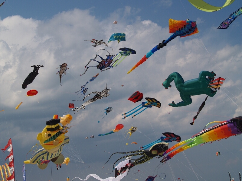 TAGLIATA2008-STACK-0465.jpg - OLYMPUS DIGITAL CAMERA         