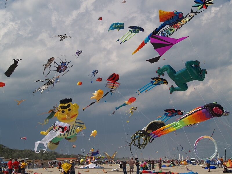 TAGLIATA2008-STACK-0466.jpg - OLYMPUS DIGITAL CAMERA         