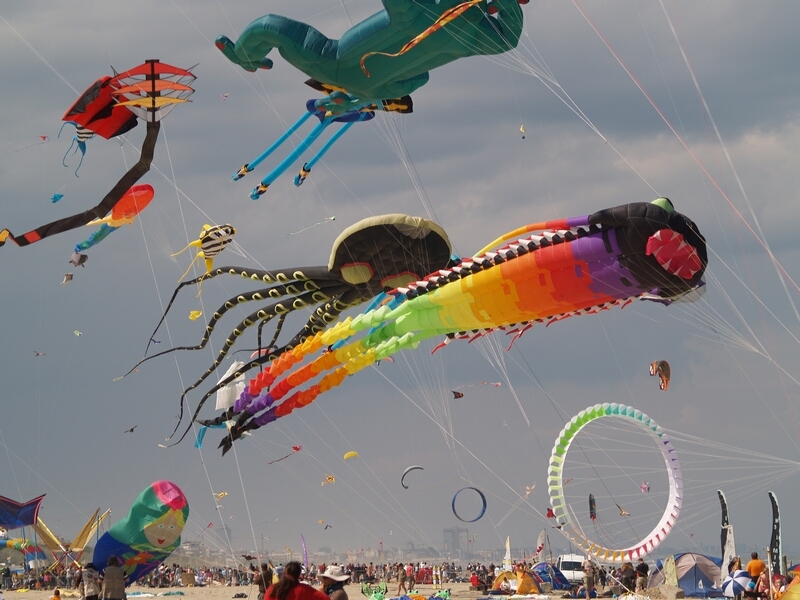 TAGLIATA2008-STACK-0467.jpg - OLYMPUS DIGITAL CAMERA         