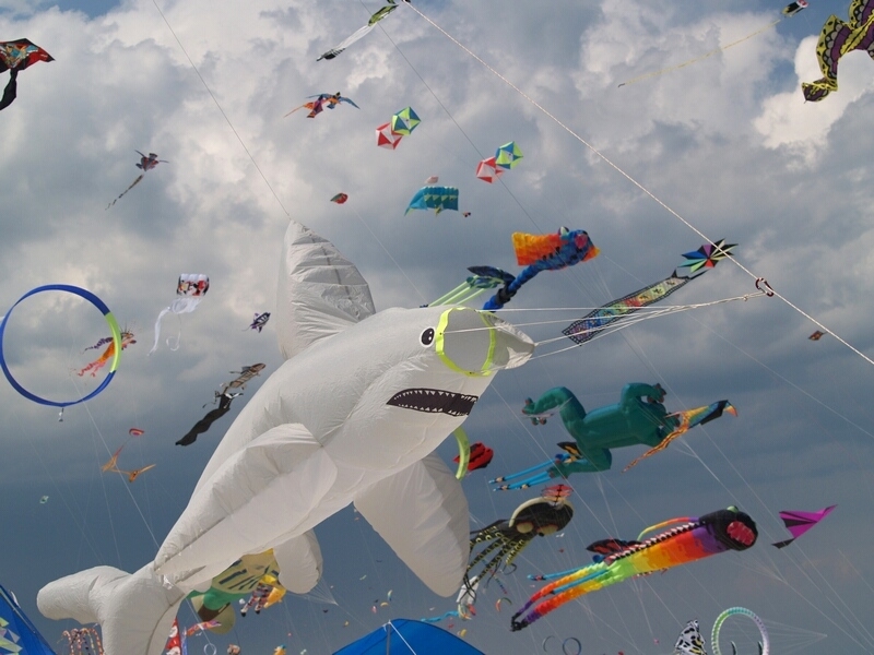 TAGLIATA2008-STACK-0468.jpg - OLYMPUS DIGITAL CAMERA         