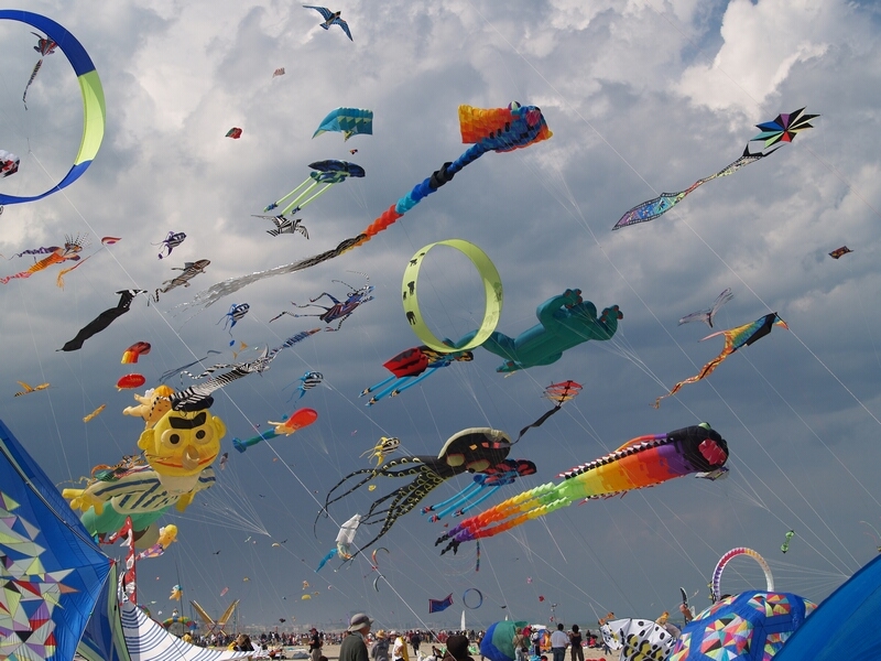 TAGLIATA2008-STACK-0469.jpg - OLYMPUS DIGITAL CAMERA         