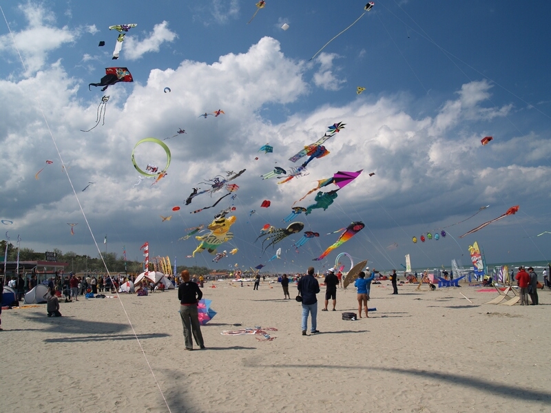 TAGLIATA2008-STACK-0470.jpg - OLYMPUS DIGITAL CAMERA         