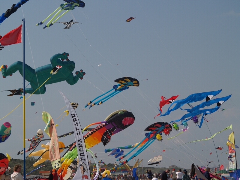 TAGLIATA2008-STACK-0471.jpg - OLYMPUS DIGITAL CAMERA         