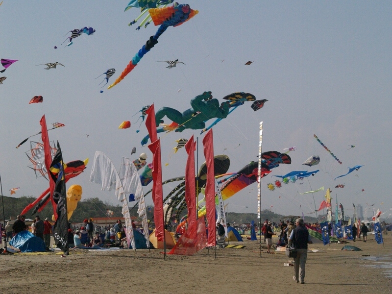 TAGLIATA2008-STACK-0472.jpg - OLYMPUS DIGITAL CAMERA         