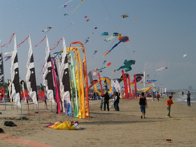 TAGLIATA2008-STACK-0473.jpg - OLYMPUS DIGITAL CAMERA         