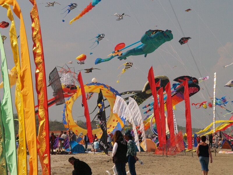 TAGLIATA2008-STACK-0474.jpg - OLYMPUS DIGITAL CAMERA         