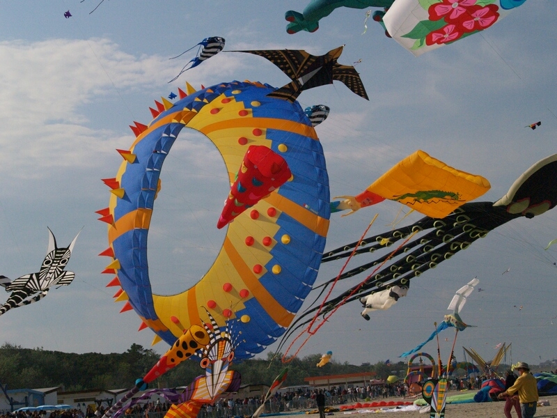 TAGLIATA2008-STACK-0475.jpg - OLYMPUS DIGITAL CAMERA         