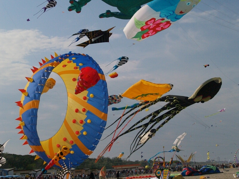 TAGLIATA2008-STACK-0476.jpg - OLYMPUS DIGITAL CAMERA         