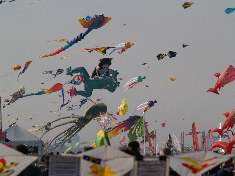 TAGLIATA2008-STACK-0477.jpg - OLYMPUS DIGITAL CAMERA         