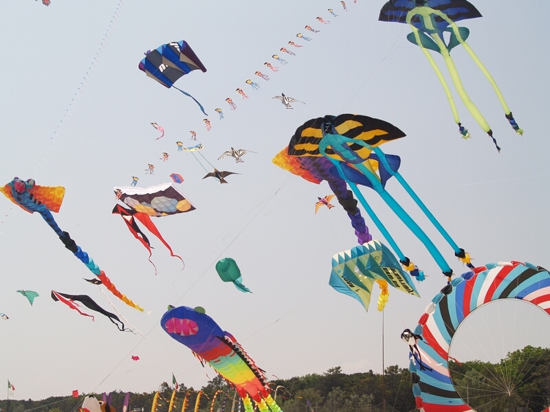 TAGLIATA2008-STACK-0479.jpg - OLYMPUS DIGITAL CAMERA         