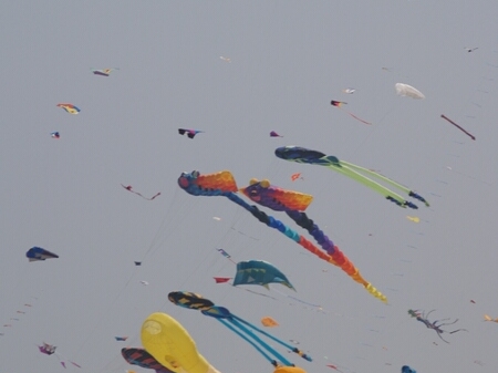 TAGLIATA2008-STACK-0480.jpg - OLYMPUS DIGITAL CAMERA         