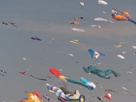 TAGLIATA2008-STACK-0482.jpg - OLYMPUS DIGITAL CAMERA         