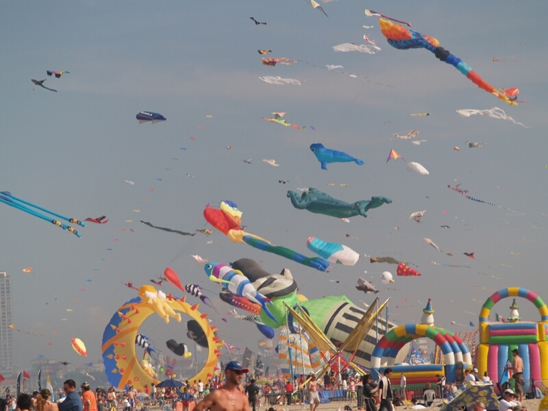 TAGLIATA2008-STACK-0483.jpg - OLYMPUS DIGITAL CAMERA         