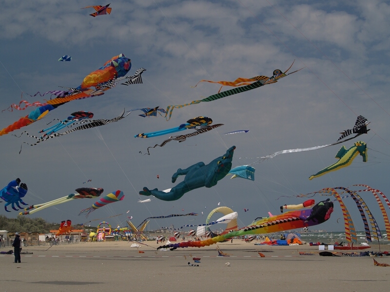 TAGLIATA2008-STACK-0485.jpg - OLYMPUS DIGITAL CAMERA         