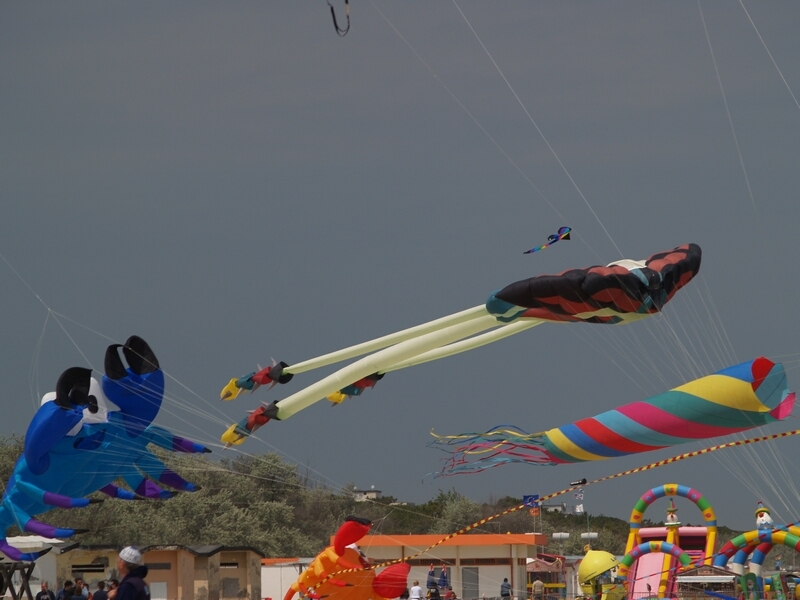 TAGLIATA2008-STACK-0486.jpg - OLYMPUS DIGITAL CAMERA         