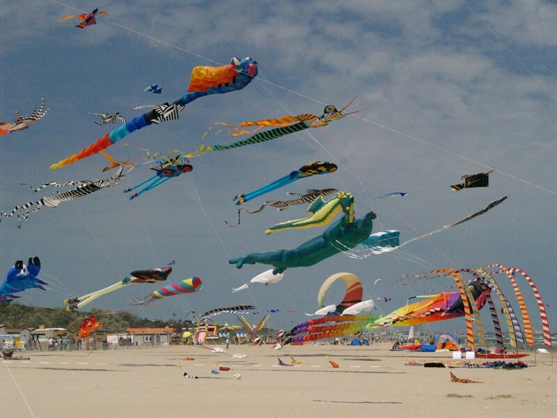 TAGLIATA2008-STACK-0488.jpg - OLYMPUS DIGITAL CAMERA         