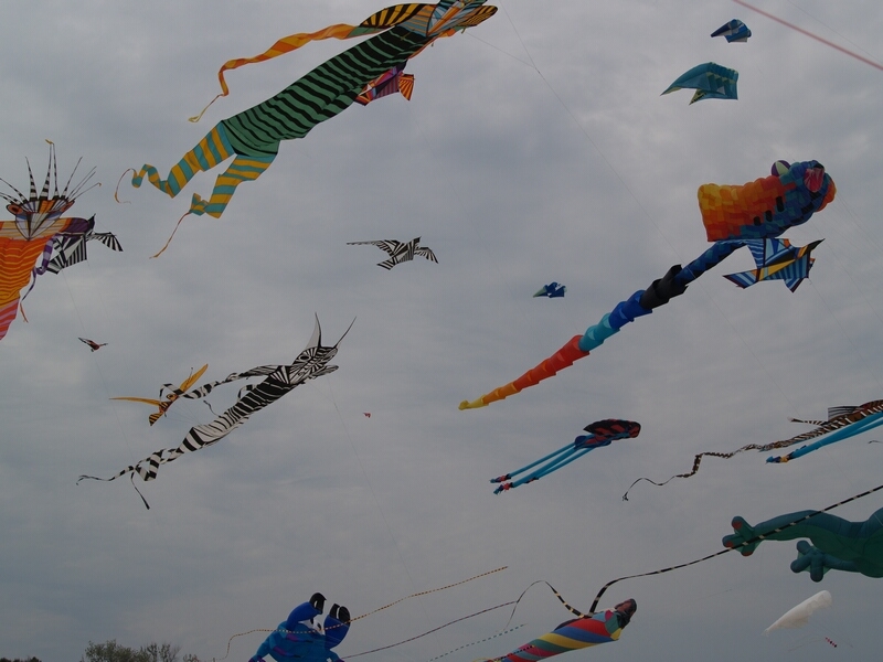 TAGLIATA2008-STACK-0489.jpg - OLYMPUS DIGITAL CAMERA         