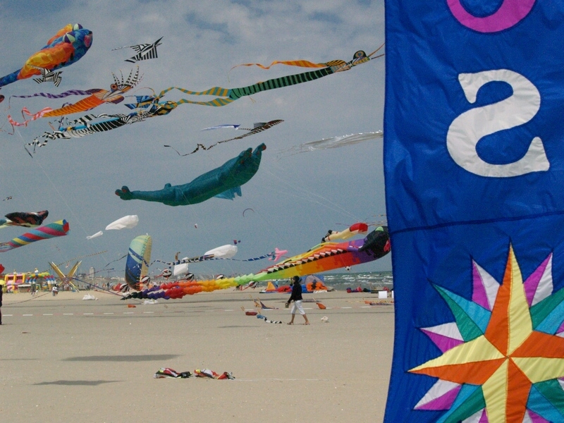 TAGLIATA2008-STACK-0512.jpg - OLYMPUS DIGITAL CAMERA         