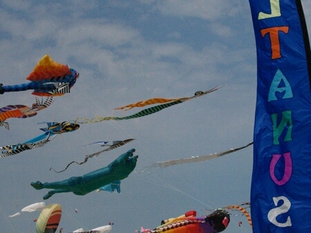 TAGLIATA2008-STACK-0513.jpg - OLYMPUS DIGITAL CAMERA         