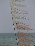 L0010004