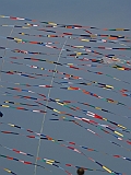 L0010007