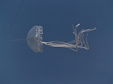 L0010010