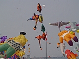 L0010016