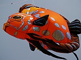 L0010019