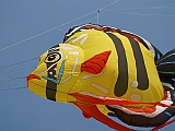 L0010020