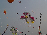 L0010036