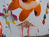 L0010048