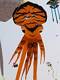 L0010049
