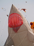 L0010050