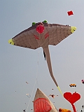 L0010051