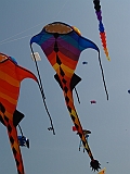 L0010058