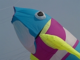 L0010066