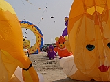L0010070