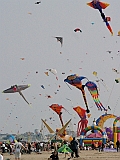 L0010099