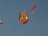 L0020154