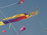 L0020155