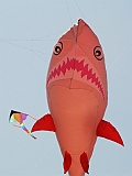 L0020167