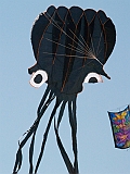 L0020176