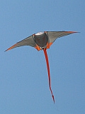 L0020190